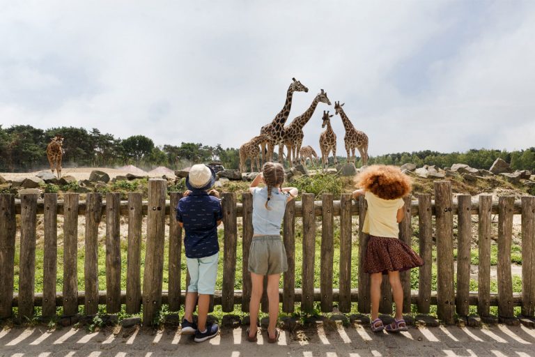 Beekse Bergen Safari Park Review Beekse Bergen