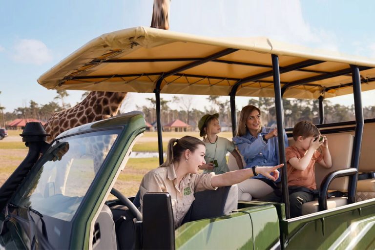 Travel Deal Review: How to Plan a Vacation with Family Traveldeal